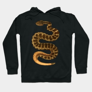 snake Hoodie